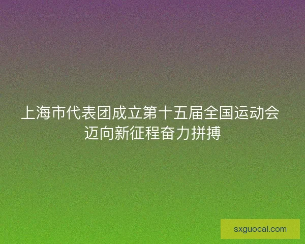上海市代表团成立第十五届全国运动会 迈向新征程奋力拼搏