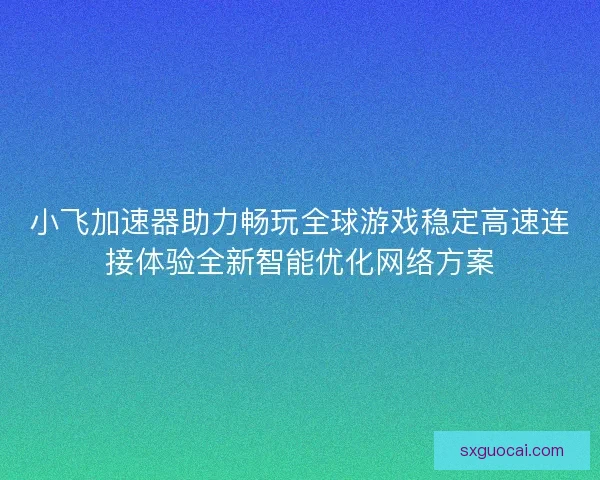 小飞加速器助力畅玩全球游戏稳定高速连接体验全新智能优化网络方案